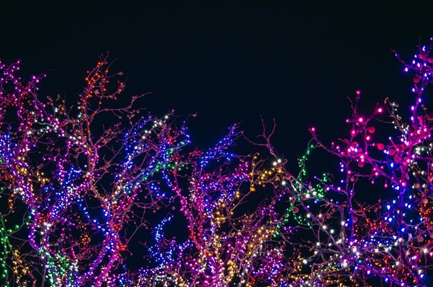 top-7-benefits-of-professional-holiday-light-installation-services