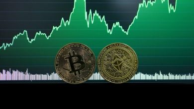 from-lawyers-to-flights:-how-crypto-is-taking-over-everyday-life